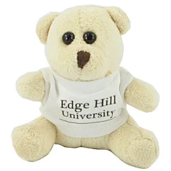 10cm Mini Beanie Bear with T-Shirt