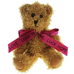 15cm Sparkie Bear with Bow