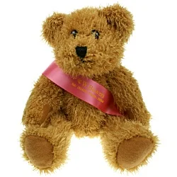 25cm Sparkie Bear with Sash