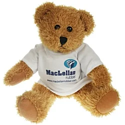 25cm Sparkie Bear with T-Shirt