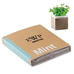 Mint Seeds Kit