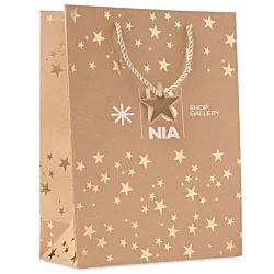 Sparkle Paper Gift Bag