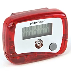 Budget Pedometer - Digital Print