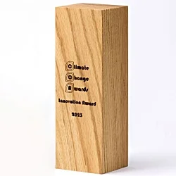 240mm Beech Column Award - Engraved