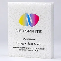 150mm Recycled Acrylic Rectangle Award