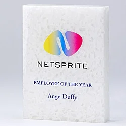 200mm Recycled Acrylic Rectangle Award