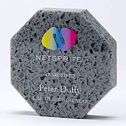 100mm Recycled Acrylic Octagon Award
