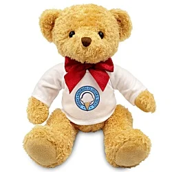 18cm William Bear