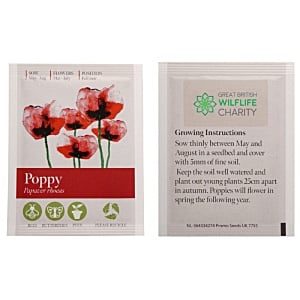 Seed Packets Main Image