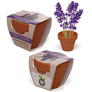 Mini Terracotta Pots Main Image