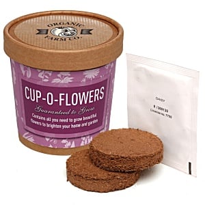 Cup-O-Flowers Grow Kit Main Image