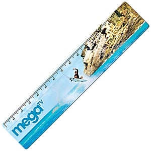 15cm Recycled Ruler Main Image