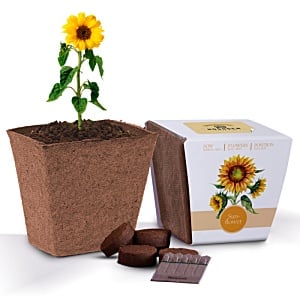 Essentials Bio Pot Garden Main Image