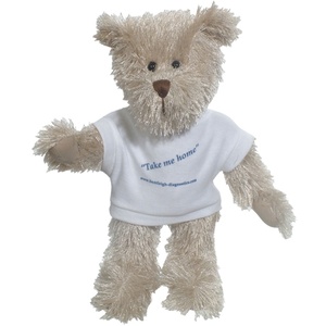 DISC Rocky Bear with T-Shirt Main Image