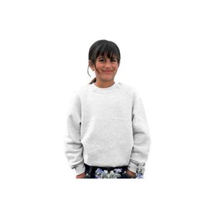 DISC Kids Raglan Sweatshirt - White Main Image