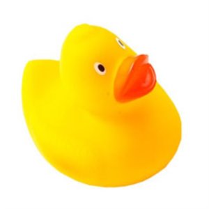 Rubber Duck Main Image