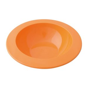 DISC Plastic Bowl Main Image