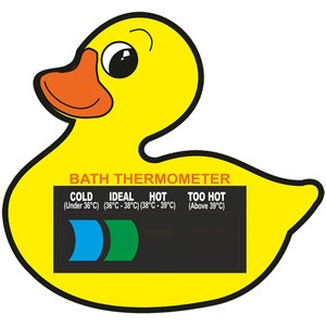 Bath Thermometer Main Image