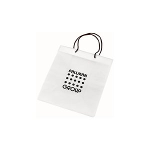 DISC Non-Woven Gift Bag Main Image