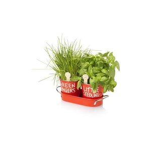 DISC Jamie Oliver Grow Your Own Herbs Main Image