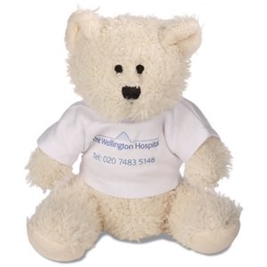 DISC Large Snowy Bear with T-Shirt Main Image