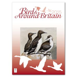 Wall Calendar - Birds Around Britain Main Image