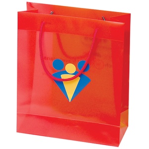 DISC Coloured Gift Bag Main Image