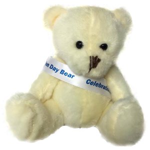 Scout Bears - Brave Bear with Sash Main Image