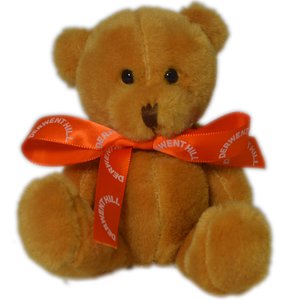 Scout Bears - Cheerful Bear with Bow Main Image