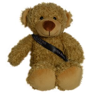 20cm Barney Bear with Sash - Biscuit Main Image