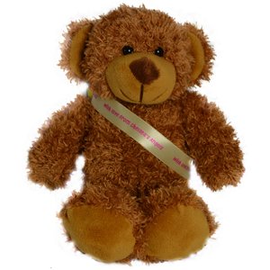 20cm Barney Bear with Sash - Chestnut Main Image