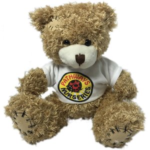 18cm Paw Bear with T-Shirt Main Image