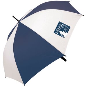 DISC Rumford Auto Golf Umbrella Main Image