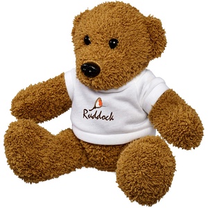 DISC Chester Bear with T-Shirt Main Image