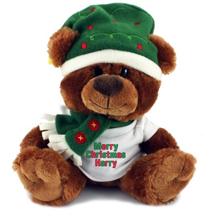 DISC Christmas Bear with T-Shirt Main Image