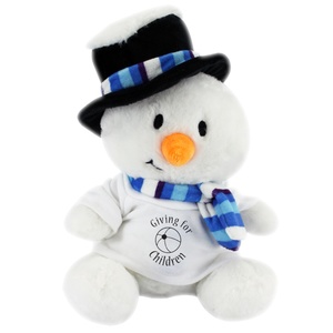 DISC Snowman with T-Shirt Main Image