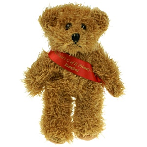15cm Sparkie Bear with Sash Main Image