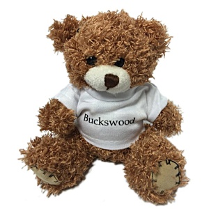 12cm Paw Bear with T-Shirt - 2 Day Main Image