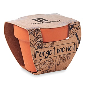 Forget Me Not Terracotta Pot Main Image