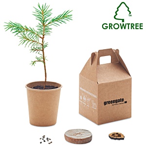 GrowTree™ Pine Tree Set Main Image