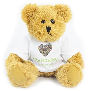 30cm Sparkie Bear with T-Shirt Main Image