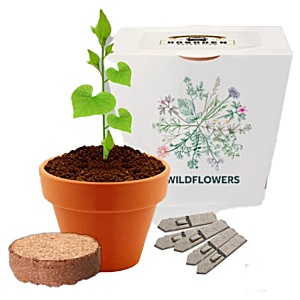 Essentials Clay Pot Garden  - Wild Flowers Main Image