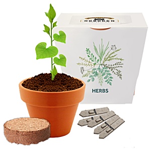 Essentials Clay Pot Garden  - Mixed Herbs Main Image