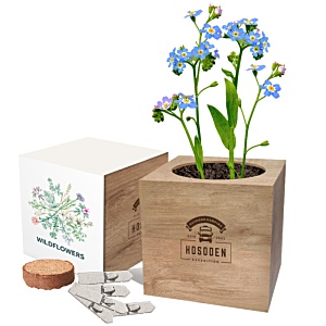 Essentials Desktop Cube Garden - Wild Flowers Main Image