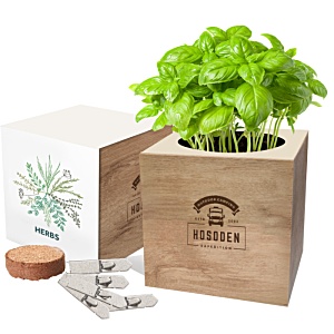 Essentials Desktop Cube Garden - Mixed Herbs Main Image