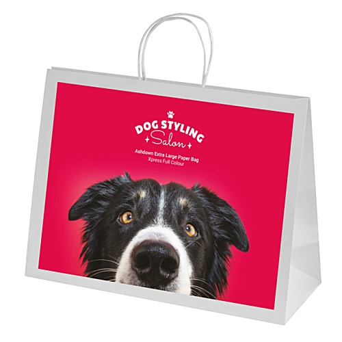 Ashdown Extra Large Paper Bag Main Image