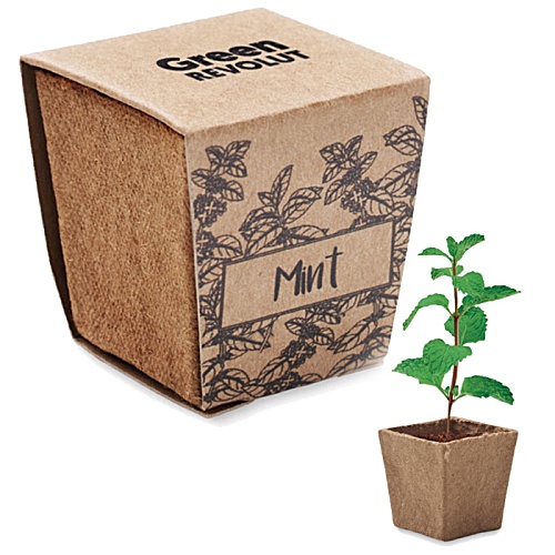 Mint Peat Pot Main Image