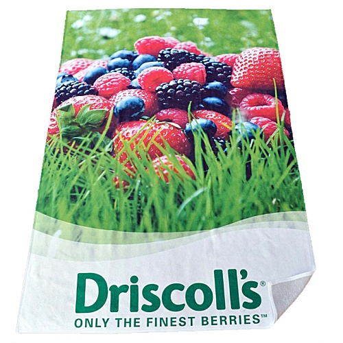 Beach Towel (80 x 160cm) Main Image