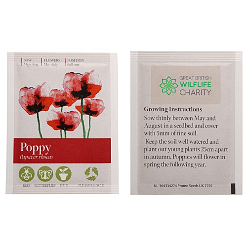 Seed Packets Main Image