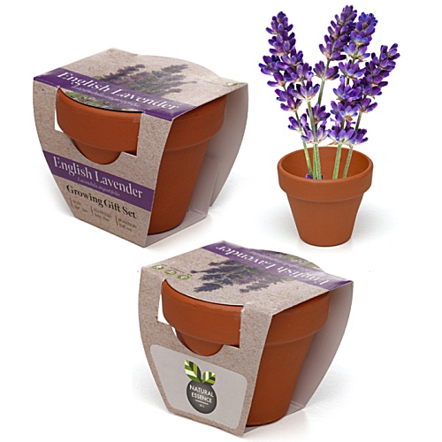 Terracotta Seed Pot Main Image